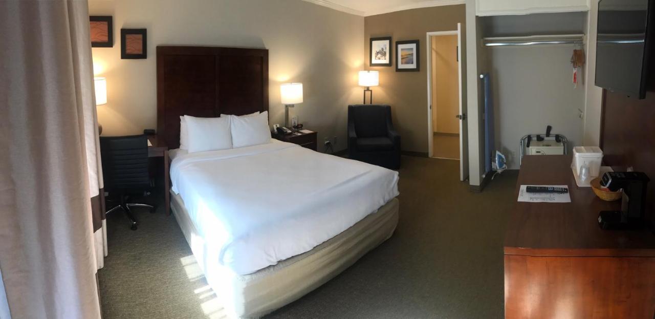 Comfort - West Angeles 2*