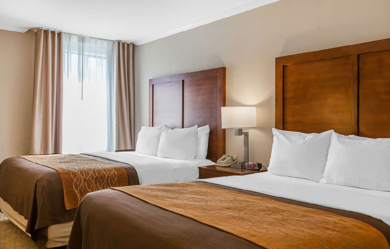 Mini-hôtel Comfort - West Angeles 2*